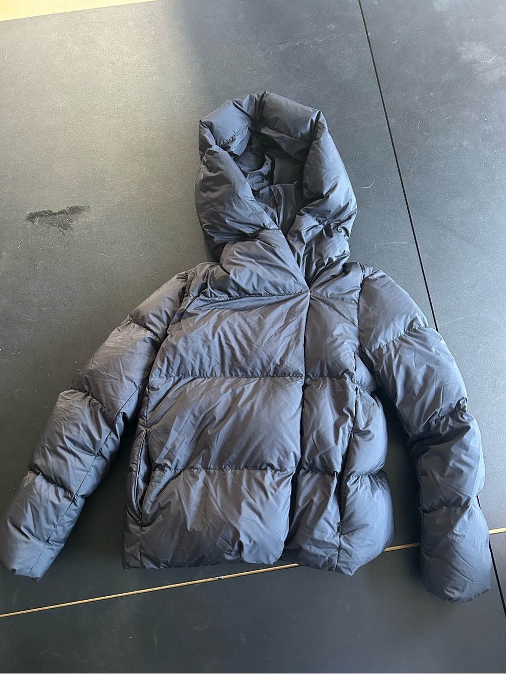 Aritzia Babaton Duvet Puffer